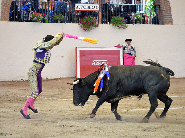 Tambi�n clav� banderillas