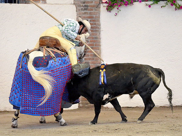 Empujando con los ri�ones