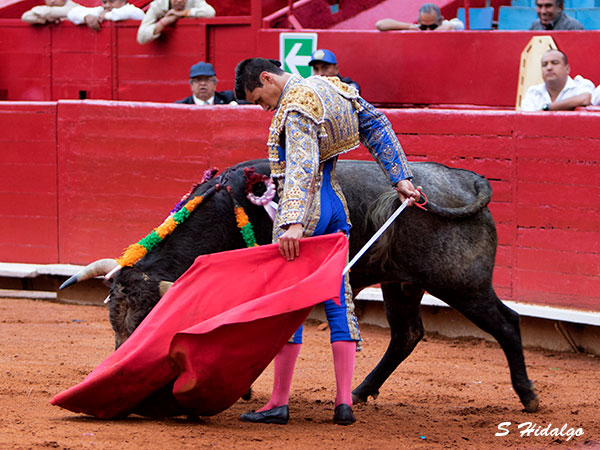 Ricardo de Santiago, grata sorpresa