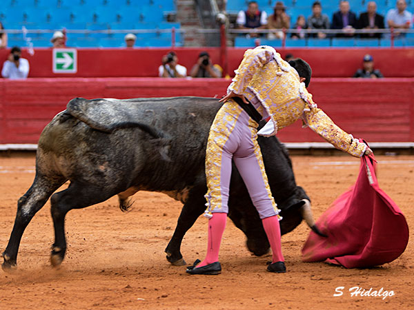 Templando al de San Lucas