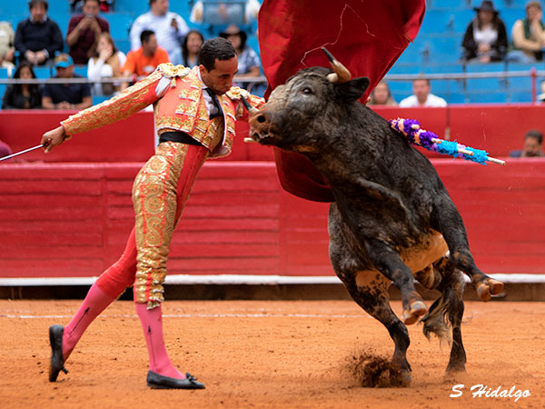 Baptiste Ciss�, tarde de detalles