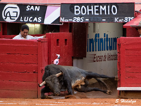 Resbal�n de salida