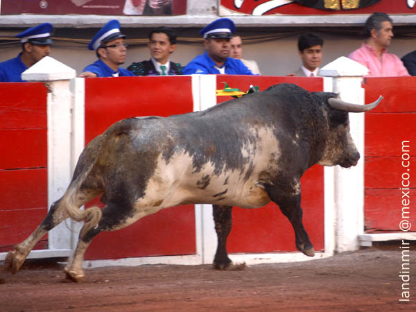 Al hilo de las tablas