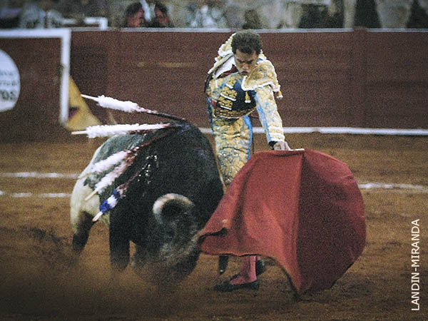 Regal� unas d�ciles embestidas