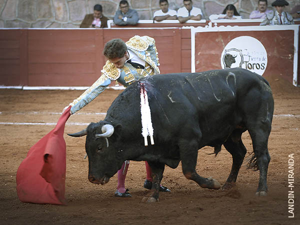 Un toro hondo y alto