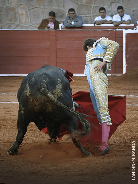 Dej� entrever su concepto