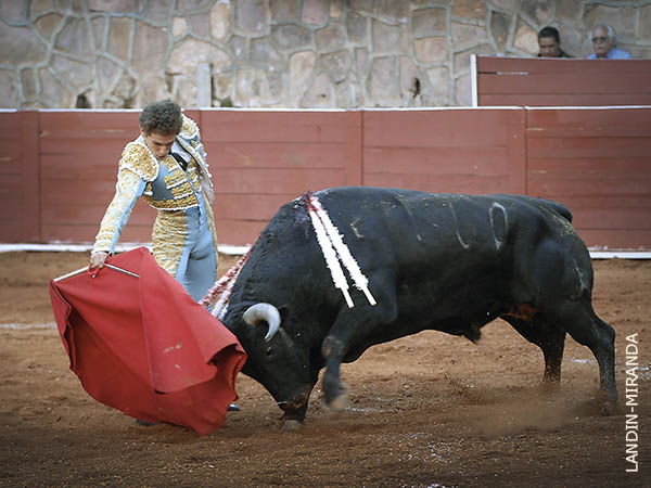 Muletazos que gustaron al p�blico