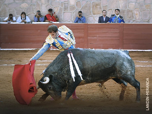 De pitones muy blancos