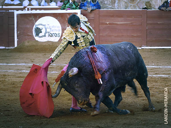 El m�s pr�ximo a cortar oreja