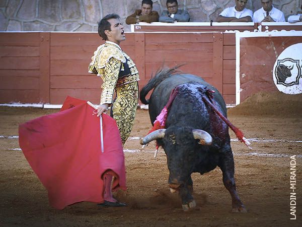 En el gusto de la afici�n