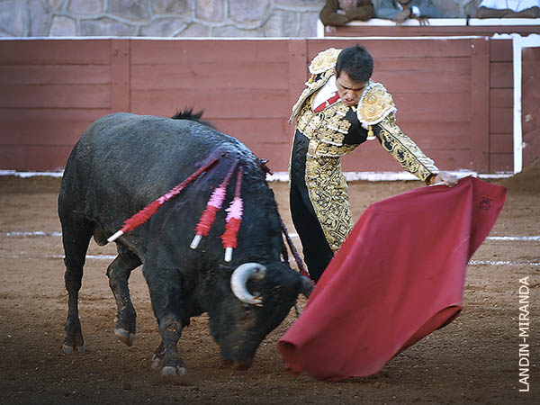 Demostr� reposo y claridad de ideas