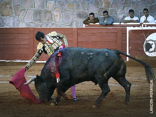 Primeros muletazos