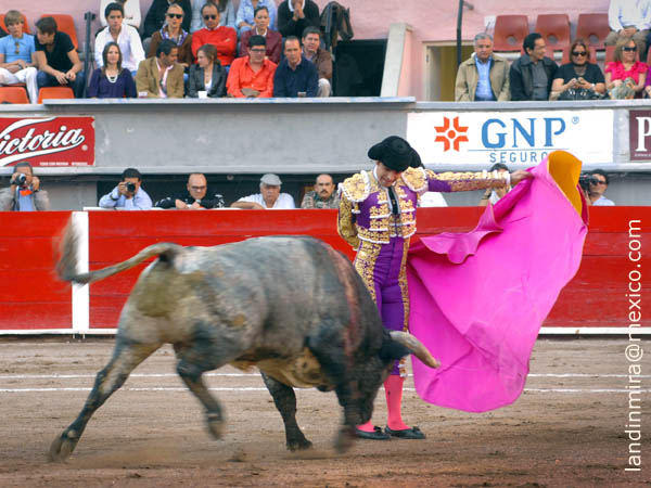 Ganoeras de Mac�as