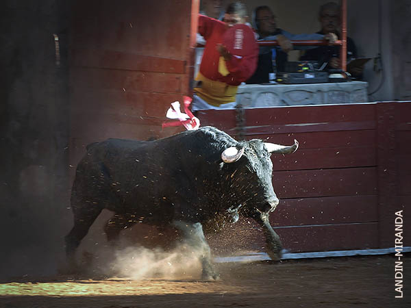 El primero, de Reyes Huerta