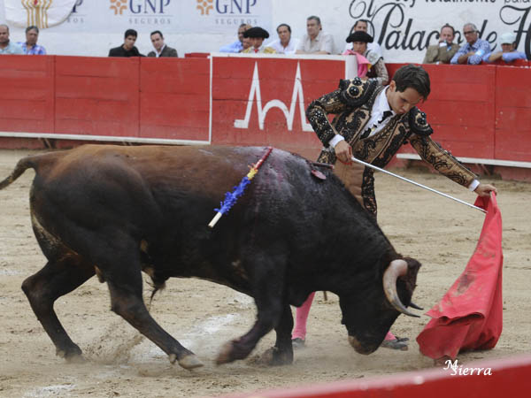 Lagartijo, torero de casa