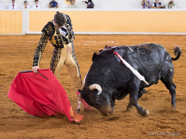 Escuch� palmas en su lote