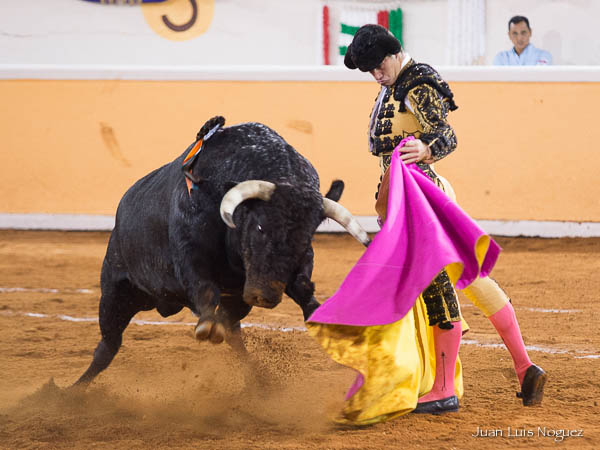 Ver�nicas gereneras