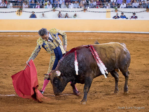 El pit�n derecho del casta�o