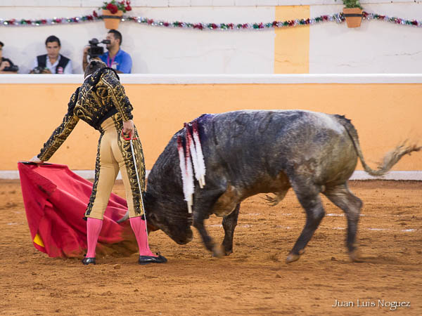 Tirando del c�rdeno