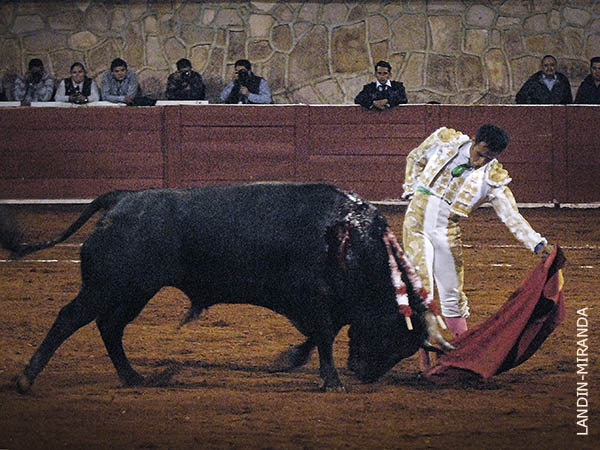 Toro hondo y largo, de buen estilo