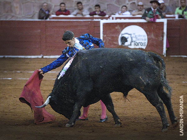 Dej� detalles de torer�a