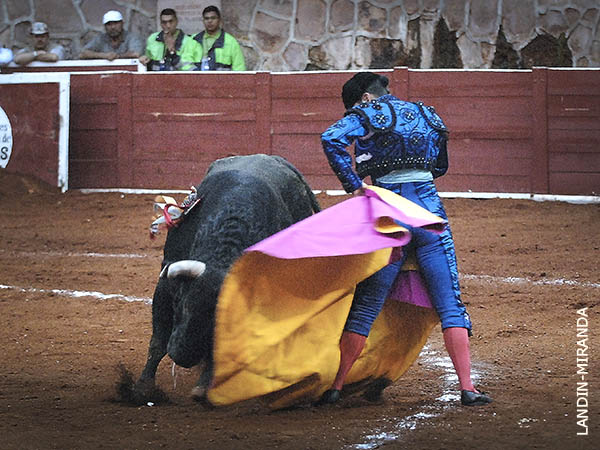 Pocas embestidas potables