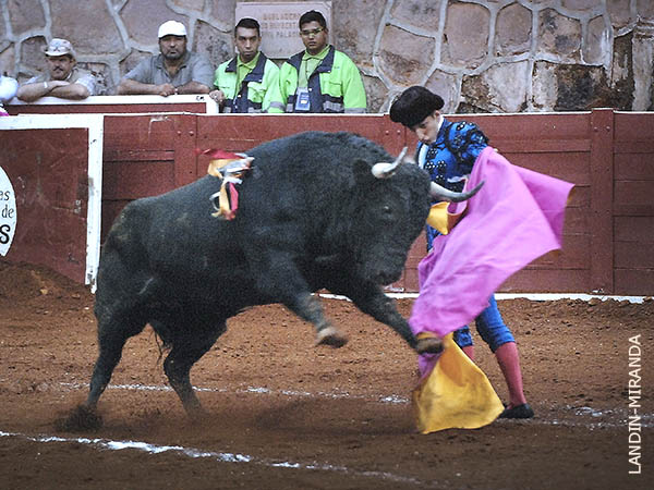 De comportamiento complicado