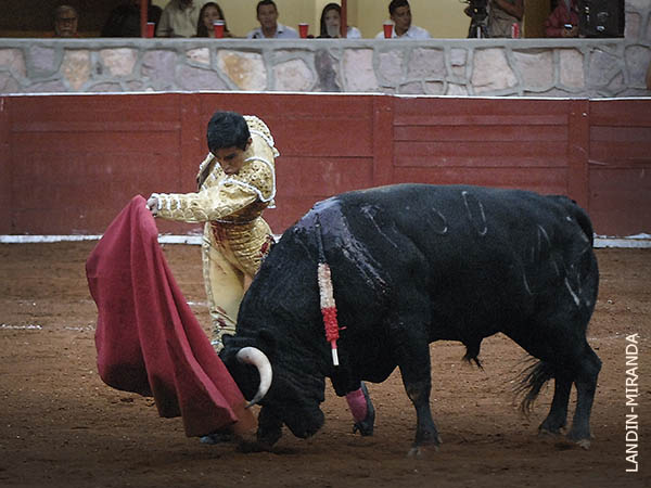 Demostr� que avanza en su concepto