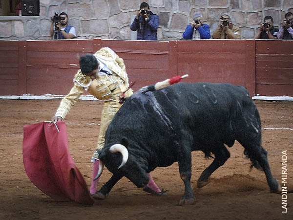 Ejemplar propicio para el triunfo