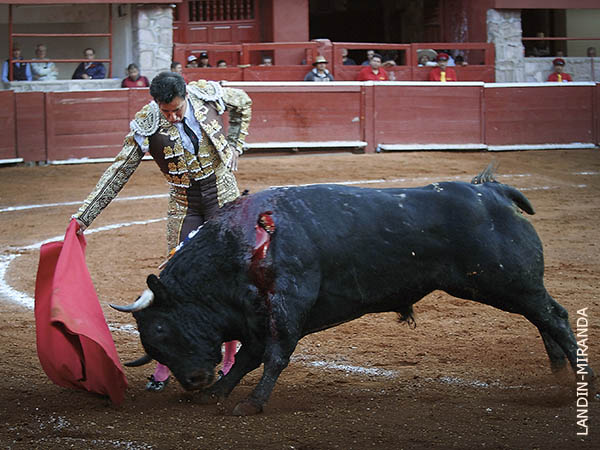 Voluntad de estar a la altura