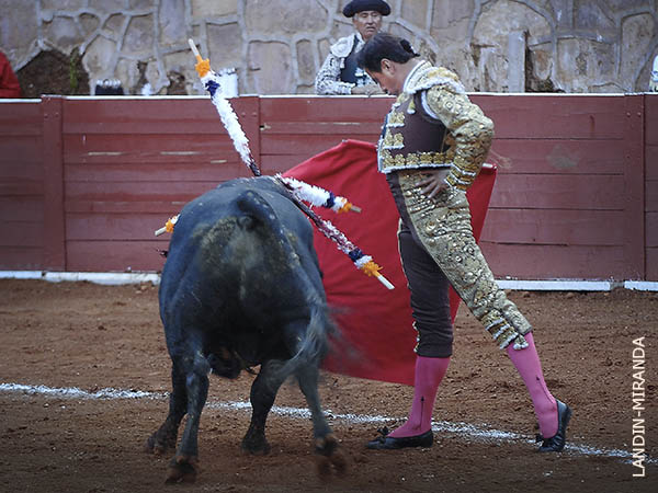 Calibrando al ejemplar