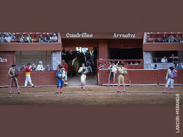 Cinco toreros de la tierra