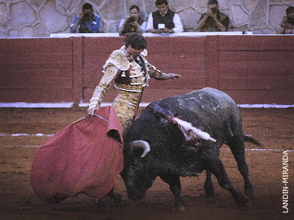 Faena larga y ligada