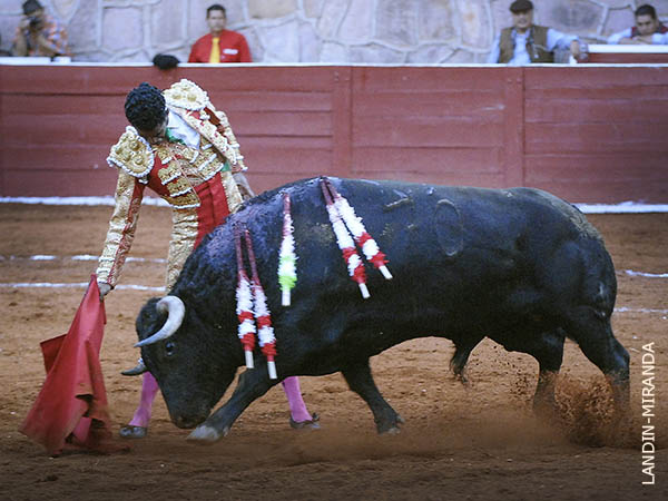 De interesante trazo