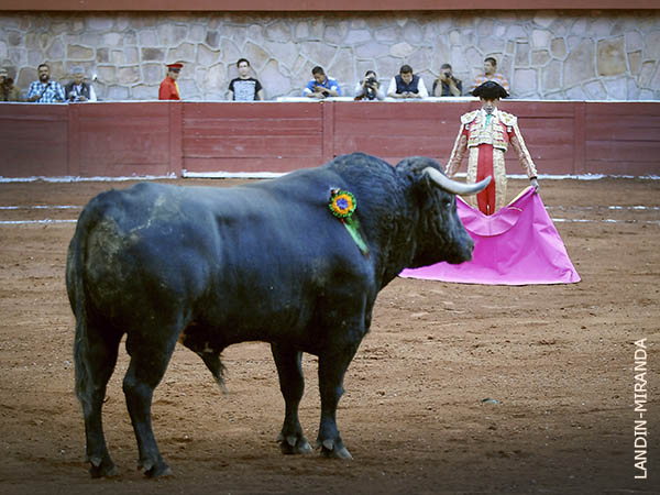 Noble, manejable, que no dur� mucho