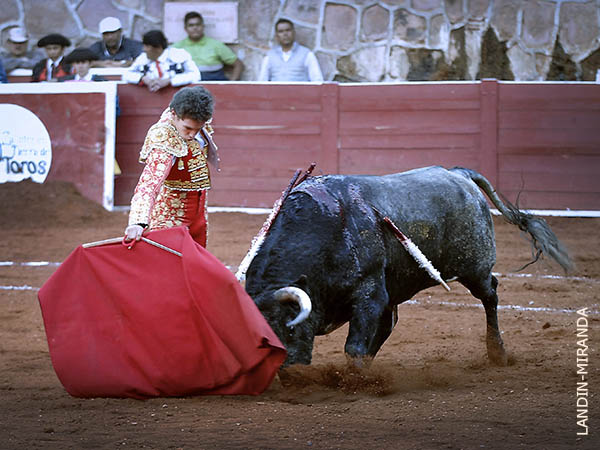 Porfi� hasta lo indecible