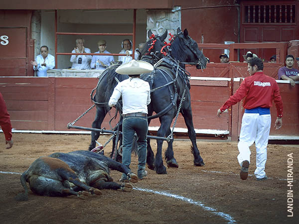 Palmas de arrastre a 