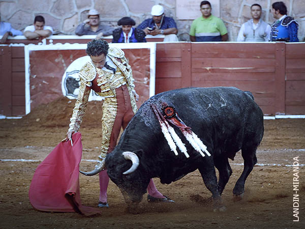 Ejemplar de clase extraordinaria