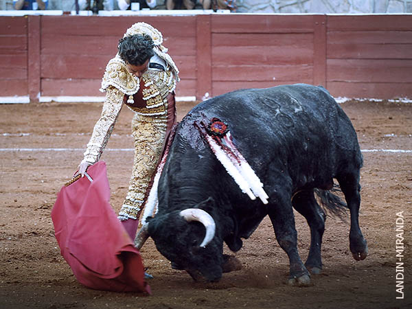 La ilusi�n por este arte ef�mero