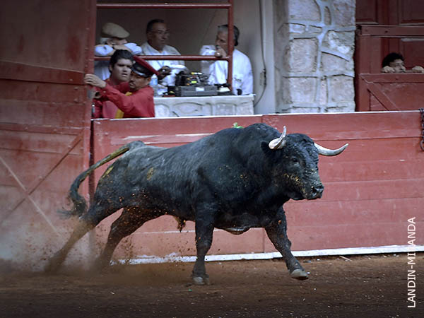 Salta a la arena el segundo