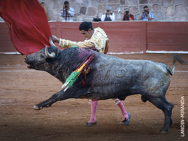 Esforzado en su primero