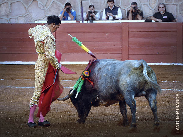 Filigranas muleteras