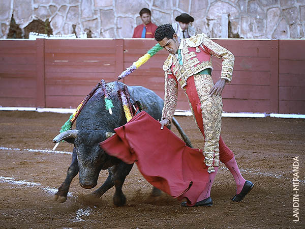 Trastos de terciopelo