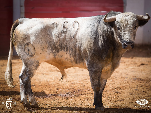 No. 159 (Santo Tom�s)