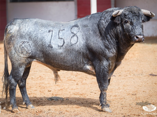 No. 158 (Santo Tom�s)