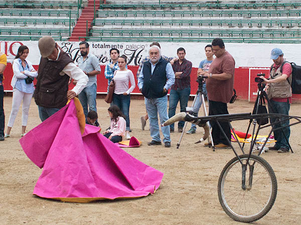 La afici�n mostr� gran inter�s