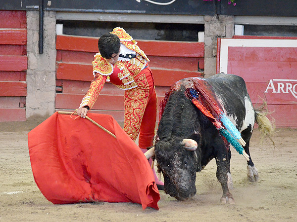 Lo mejor de la tarde