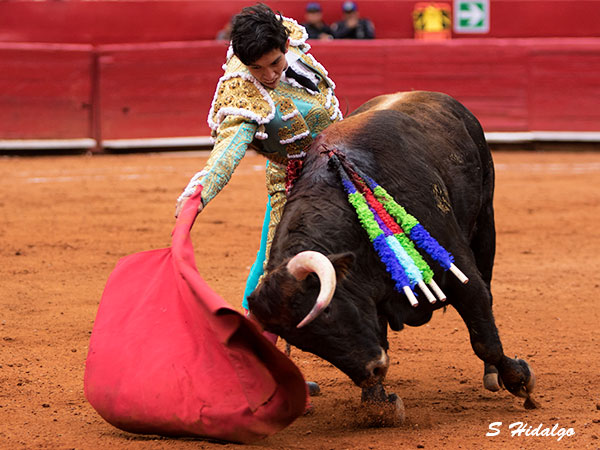 Aqu� hay un torero