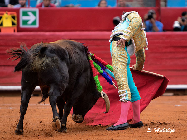 Derechazo de bella factura