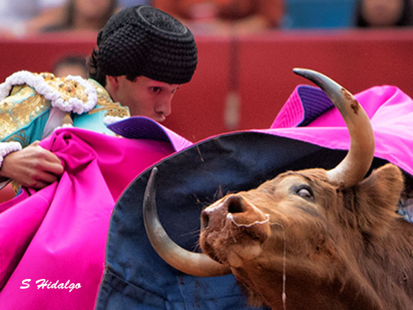 Fonseca, valor y arte